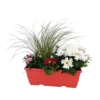 Jardinière De Bisannuelles Et Vivaces 40 Cm - Coloris Variables