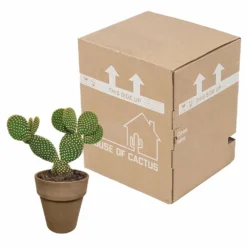 Opuntia Microdasys Et Son Cache-pot Marron - H40cm, ø17cm - Plante D'intérieur -Magasin De Plantes De Qualité 48d55715481eec9b