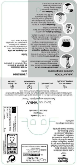 Lavandula Angustifolia Anna : C. 3L -Magasin De Plantes De Qualité 510699 005