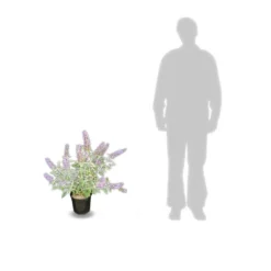 Arbre Aux Papillons Davidii Lochinch/pot De 7,5l - 60/80 Cm -Magasin De Plantes De Qualité 63f4b609315102.48815059