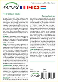 Kit De Culture - Fleur Chauve-souris - 10 Graines - Tacca Chantrieri -Magasin De Plantes De Qualité 64063aa2e09686.92559263