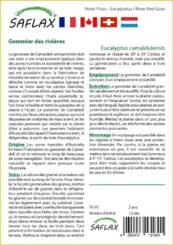 Kit De Culture - Gommier Des Rivières - 200 Graines - Eucalyptus Camaldulensis -Magasin De Plantes De Qualité 640641615bee86.32114836