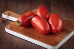 Kit De Culture - Bio - Tomate - San Marzano - 15 Graines - Solanum Lycopersicum -Magasin De Plantes De Qualité 6406416b4f7255.16851216