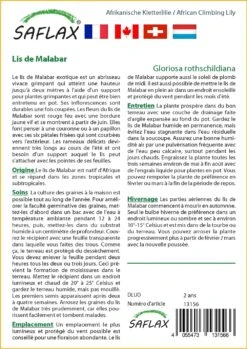 Kit De Culture - Lis De Malabar - 15 Graines - Gloriosa Rothschildiana -Magasin De Plantes De Qualité 640641794d5843.34319572