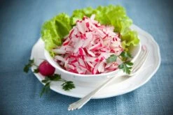 Kit De Culture - Bio - Radis - Cherry Bell - 100 Graines - Raphanus Sativus -Magasin De Plantes De Qualité 640641a656fec4.35520788