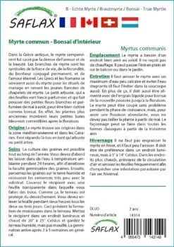 Kit De Culture - Myrte Commun - 30 Graines - Myrtus Communis -Magasin De Plantes De Qualité 640641b38ab843.99066445