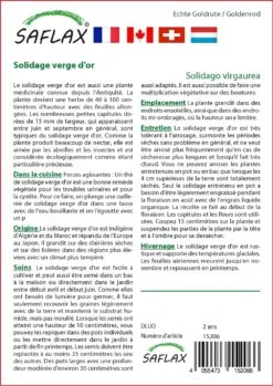 Kit De Culture - Solidage Verge D'or - 100 Graines - Solidago Virgaurea -Magasin De Plantes De Qualité 640641b4d55022.73382482