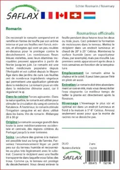 Kit De Culture - Romarin - 100 Graines - Rosmarinus Officinalis -Magasin De Plantes De Qualité 640641bc5a3695.92918308