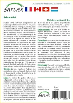 Kit De Culture - Arbre à Thé - 400 Graines - Melaleuca Alternifolia -Magasin De Plantes De Qualité 640641cc772c91.95778072