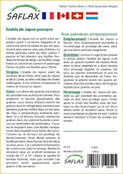 Kit De Culture - Erable Du Japon Pourpre - 20 Graines - Acer Palmatum Atropurpureum -Magasin De Plantes De Qualité 640641d837b750.91534800