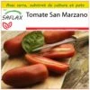 Kit De Culture - Tomate San Marzano - 10 Graines - Lycopersicon Esculentum