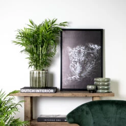 Chamaedorea Elegans - Palmier Nain Mexicain - Purificateur D'air – ⌀17 Cm - ↕50-60 Cm -Magasin De Plantes De Qualité 640b21045e72a5.33117055