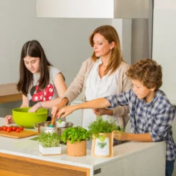 Sac Papier Prêt à Cultiver Calendula -Magasin De Plantes De Qualité 6420e04ce65762.91235116