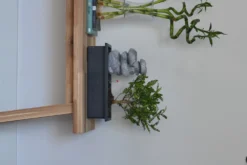 Set Bonsaï Et Cascade-pierres - Support L.30cm- H.25-30cm -Magasin De Plantes De Qualité 6422e176bdde43.86636099