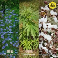 Coffret De Semences Textile Tissus Etoffe Et Fil -Magasin De Plantes De Qualité 642d66ace6f211.93606402