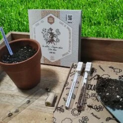 Coffret De Semences Textile Tissus Etoffe Et Fil -Magasin De Plantes De Qualité 642d66acef9529.41293408