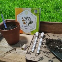 Coffret De Semences Médicinales Aromatique Apéritifs Régionaux -Magasin De Plantes De Qualité 645a39a7621da9.71396115