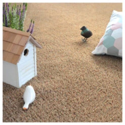 Gazon Synthétique Arty - Couleur Beige - 20mm - 1m X 8m -Magasin De Plantes De Qualité 645ce1b0234956.00529619