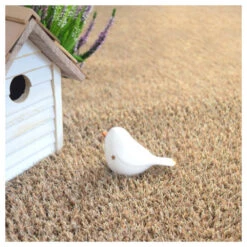 Gazon Synthétique Arty - Couleur Beige - 20mm - 1m X 8m -Magasin De Plantes De Qualité 645ce1b028c3a3.92959361