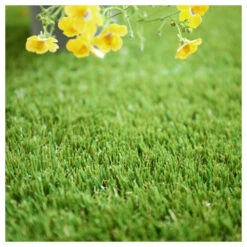 Gazon Synthétique New Eden - 35mm - 2m X 3m -Magasin De Plantes De Qualité 6476ea3f251b30.36166923