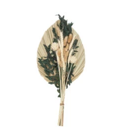 Magasin De Plantes De Qualité -Magasin De Plantes De Qualité 64821bb2e3e5d2.42205057