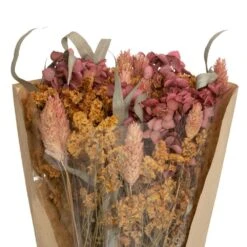 ATMOSPHERA Bouquet De Fleurs Séchées D. 19 X H. 48 Cm -Magasin De Plantes De Qualité 64821bb5da8fe9.89757871