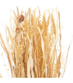 ATMOSPHERA Fagot De Fleurs Et Tiges Séchées D. 25 X H. 115 Cm -Magasin De Plantes De Qualité 64821bbdf34e96.52846136