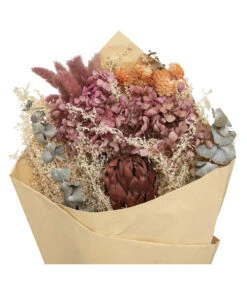 Magasin De Plantes De Qualité -Magasin De Plantes De Qualité 648229d7965a82.84424935