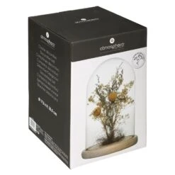 Fleurs Séchées Sous Cloche "folk" H26 Cm -Magasin De Plantes De Qualité 6483186be980f5.89139318