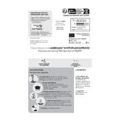 Géranium Zonale Americana® White Splash Improved'Label Rouge:10 Plants 11 Géranium Zonale Americana® White Splash Improved'Label Rouge:10 Plants -Magasin De Plantes De Qualité 697188 1761607