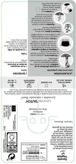 Lavande X Intermedia Dutch Lavander Pot 3L -Magasin De Plantes De Qualité 739237 002