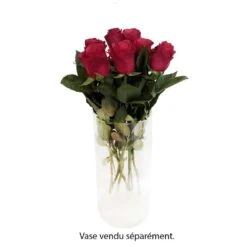 Magasin De Plantes De Qualité -Magasin De Plantes De Qualité 748900 007