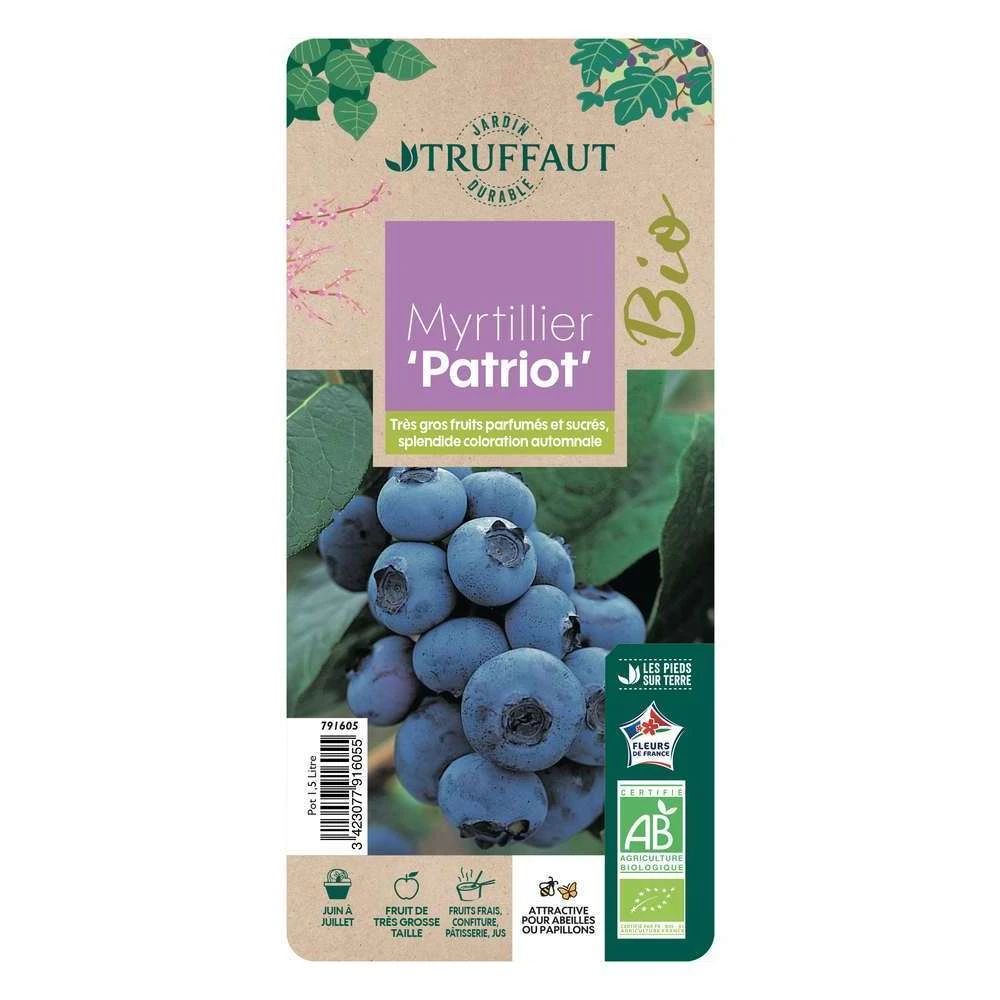 Myrtillier 'Patriot' Bio : Pot De 1,5 Litres 4 Myrtillier 'Patriot' Bio : Pot De 1,5 Litres – Image 4