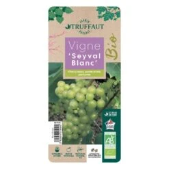 Vigne 'Seyval Blanc' AB - Pot 1,5 L -Magasin De Plantes De Qualité 827056 002