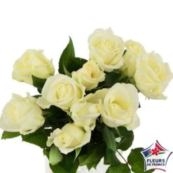 Botte 10 Roses ''Fleurs De France'' H.50cm Coloris Variables -Magasin De Plantes De Qualité 907464 001