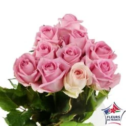 Botte 10 Roses ''Fleurs De France'' H.50cm Coloris Variables -Magasin De Plantes De Qualité 907464 003